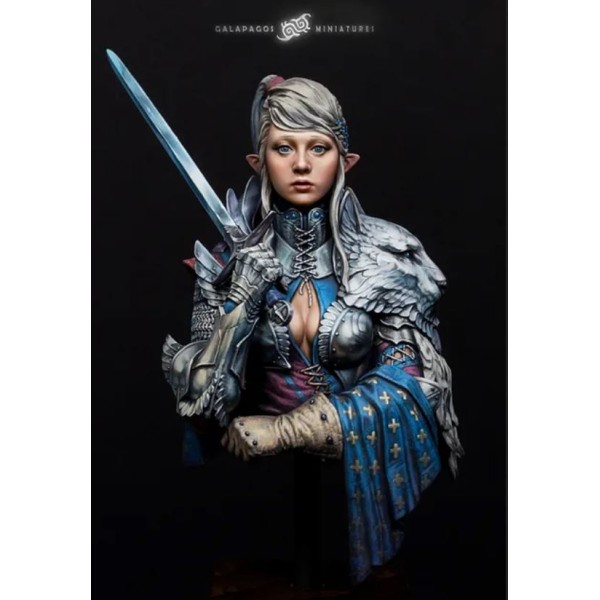 Galapagos Miniatures - Alai, The Templar's Atonement