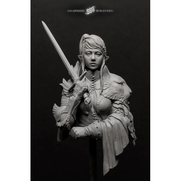 Galapagos Miniatures - Alai, The Templar's Atonement