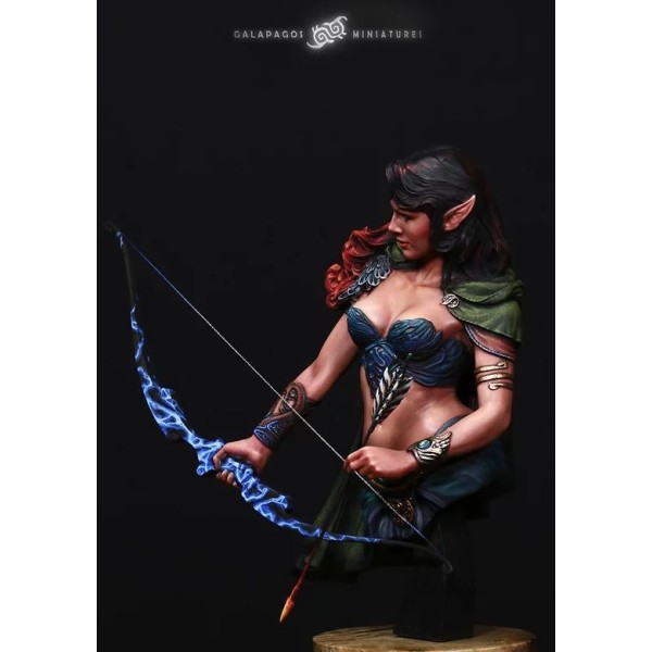 Galapagos Miniatures - Amaryne The Border Protector