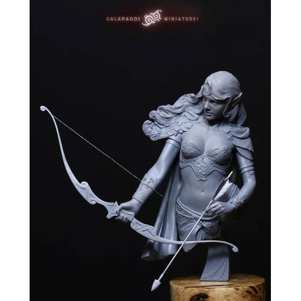 Galapagos Miniatures - Amaryne The Border Protector