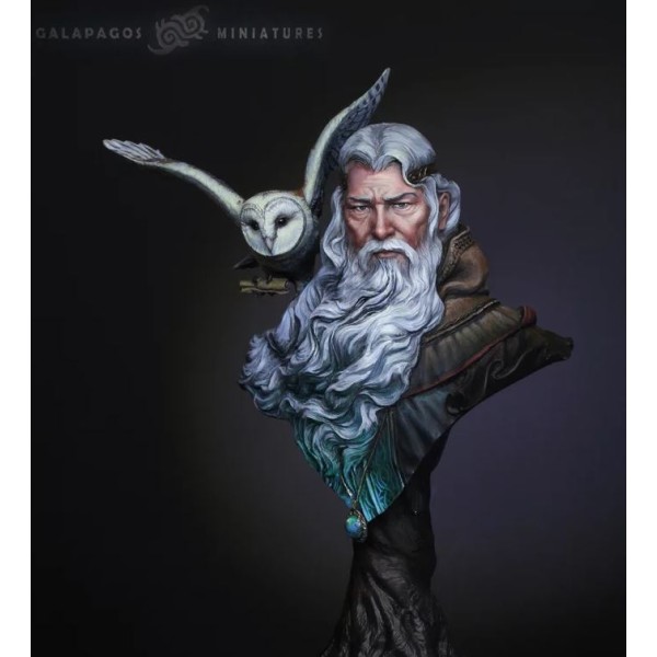 Galapagos Miniatures - The Messenger