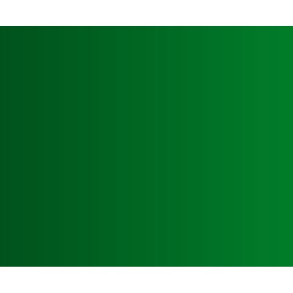 Citadel Contrast Paints - Ork Flesh