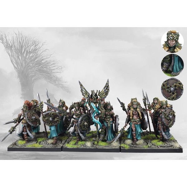 Conquest - The Last Argument of Kings - The Nords - Valkyries