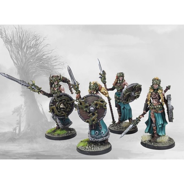 Conquest - The Last Argument of Kings - The Nords - Valkyries