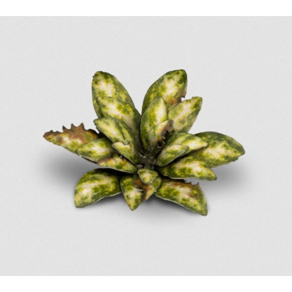 Gamer's Grass - Laser Cut Plants - Dumb Cane