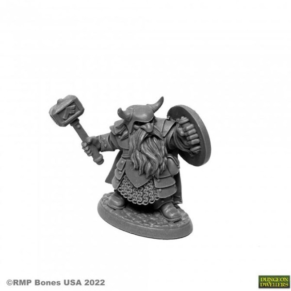 Reaper Dungeon Dwellers (Bones USA Plastic) - Borin Ironbrow, Dwarf Fighter
