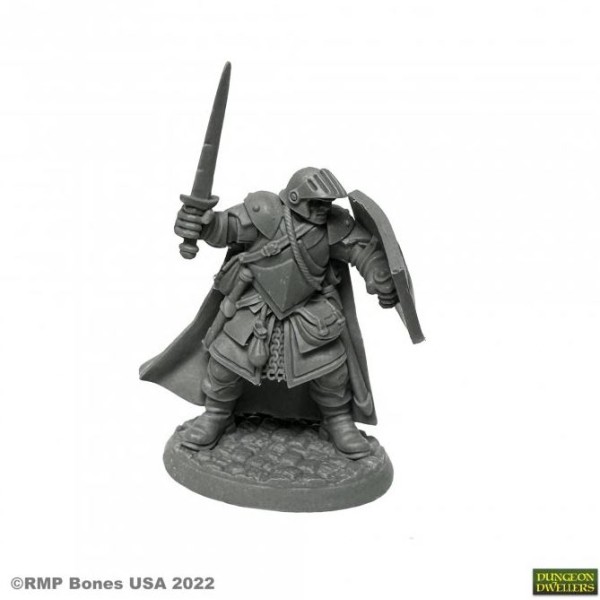 Reaper Dungeon Dwellers (Bones USA Plastic) - Baran Blacktree, Veteran Warrior