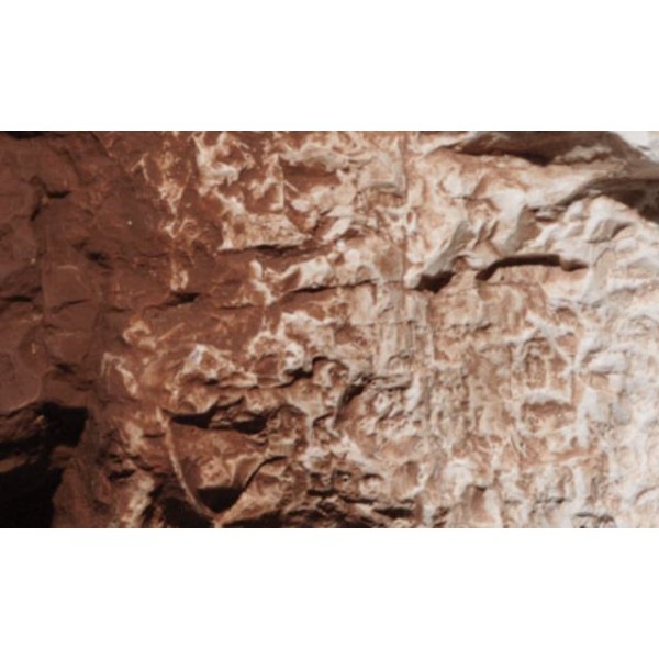 Woodland Scenics - Terrian Paint - Burnt Umber