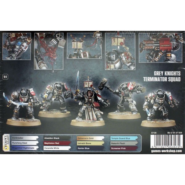 Warhammer 40k - Grey Knights - Paladins / Terminators