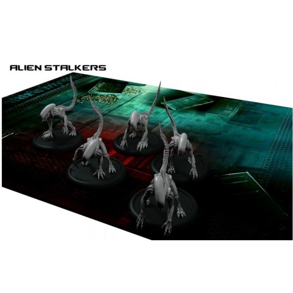 Alien vs Predator - The Hunt Begins Alien vs Predator - The Hunt Begins