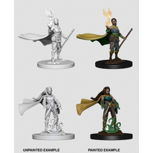D&D - Nolzur's Marvelous Unpainted Minis: Elf Female Druid
