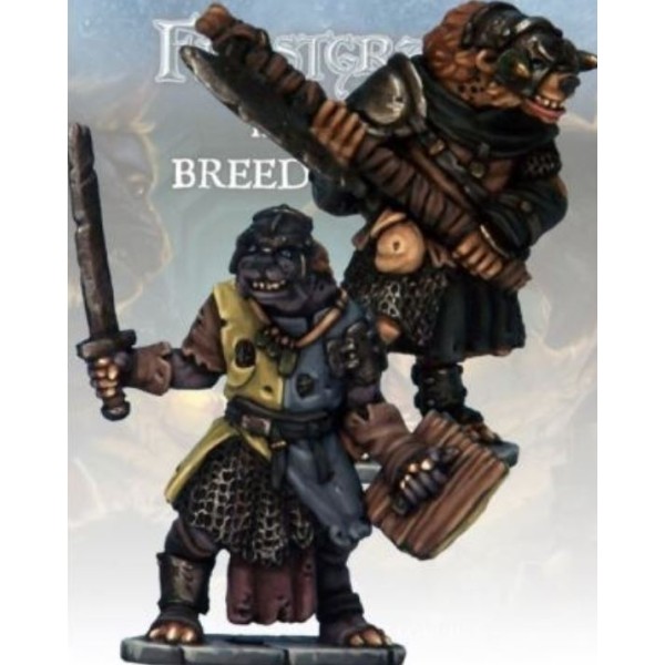 Frostgrave - Gnoll Knight & Templar Frostgrave - Gnoll Knight & Templar