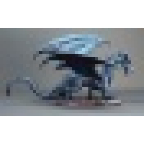 Reaper - Bones - Shadow Dragon