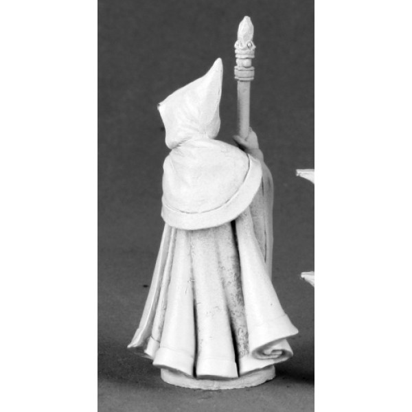 Reaper - Dark Heaven Legends - Anirion, Wood Elf Wizard