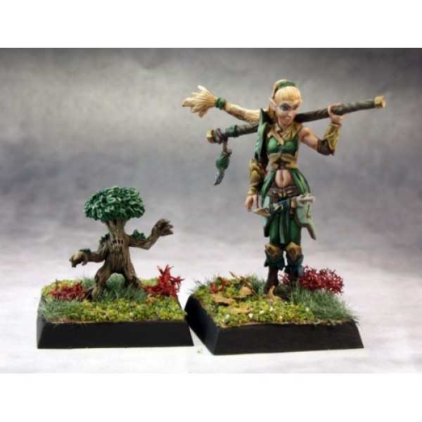 Reaper - Pathfinder Miniatures: Druid & Familiar